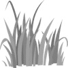 Nature ASL lesson